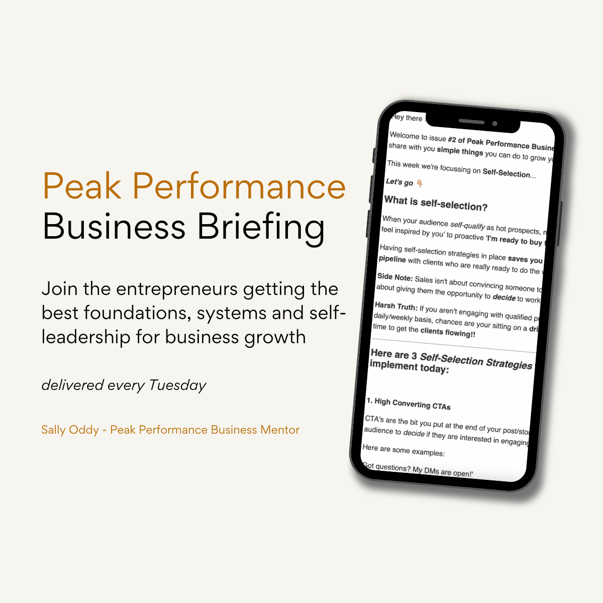 THE PEAK PERFORMANCE business briefing (LinkedIn Post)