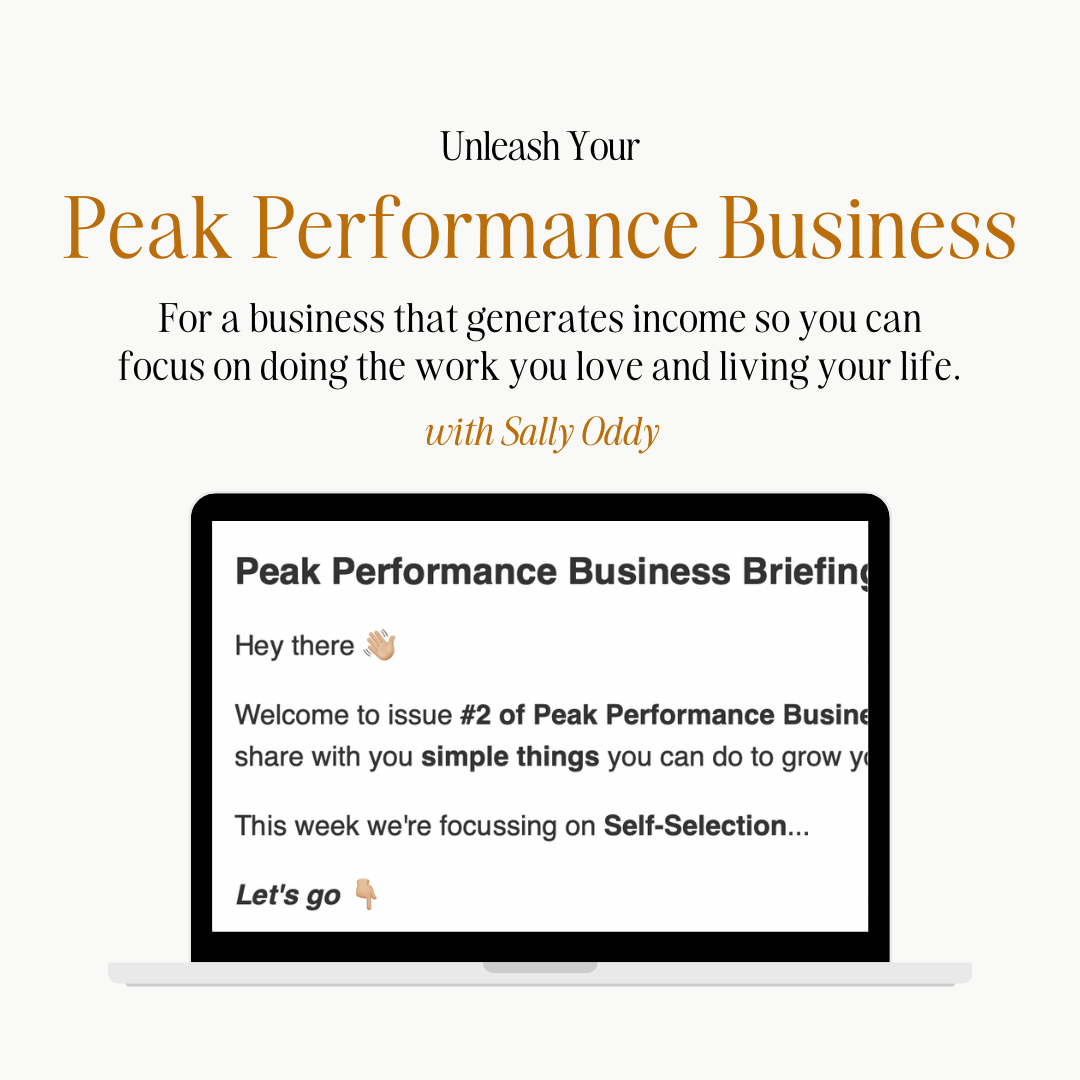 Peak performance business briefing by sally oddy
